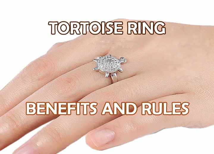 Tortoise Ring In Finger 2024 | favors.com