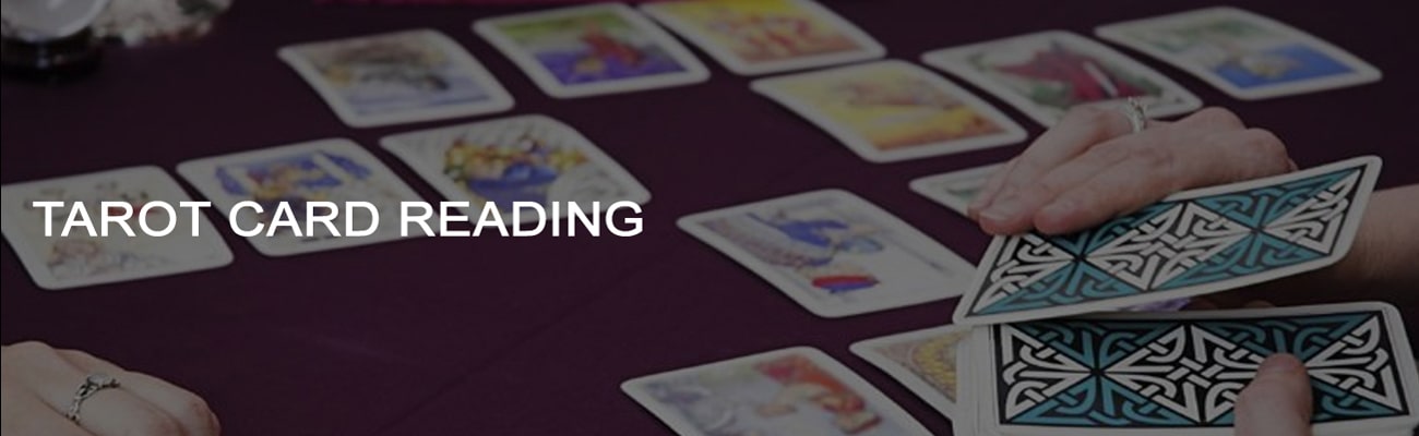 special-tarot-reading